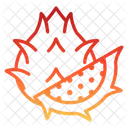 Dragon Fruit Food Fresh Icon