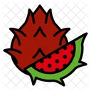 Dragon Fruit Food Fresh Icon