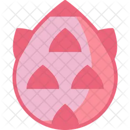 Dragon fruit  Icon