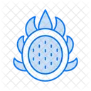 Dragon fruit  Icon