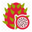 Dragon fruit  Icon