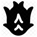 Dragon fruit  Icon