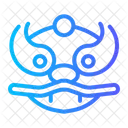 Dragon Chinese Asian Icon
