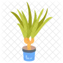 Dragon plant  Icon