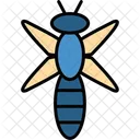 Dragonfly Dragon Fly Insect Icon