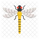 Insect Bug Spring Icon