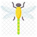 Dragonfly アイコン