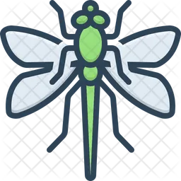 Dragonfly  Icon