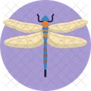 Dragonfly  Icône