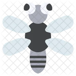 Dragonfly  Icon