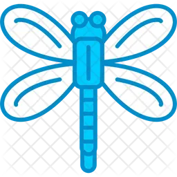 Dragonfly  Icon