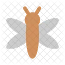 Dragonfly  Icon