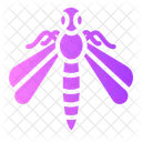 Dragonfly Giant Dragongfly Zoology Icon