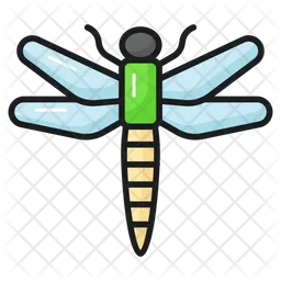 Dragonfly  Icon