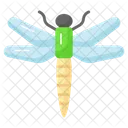 Dragonfly Bug Predatory Icon
