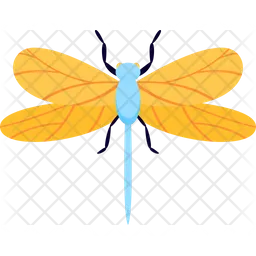 Dragonfly  Icon