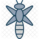 Dragonfly Dragon Fly Insect Icon