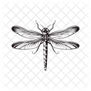 Dragonfly Insect Fly Icon