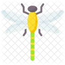 Dragonfly Icon