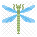 Dragonfly  アイコン