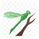 Dragonfly  Icon