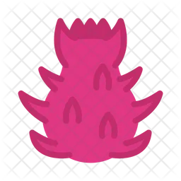 Dragonfruit  Icon