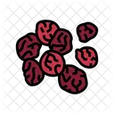 Dried Cherry Cherry Dried Icon