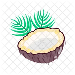 Dried Coconut  Icon