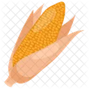 Dried corn cob  Icon