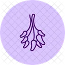 Dried Herbs Bunch Dried Herbs Icon