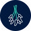Dried Herbs Bunch Dried Herbs Icon