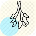 Dried Herbs Bunch Dried Herbs Icon