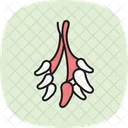 Dried Herbs Bunch Dried Herbs Icon