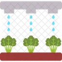 Hydroponics Irrigation Farming Icon