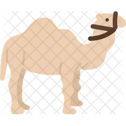 Dromedary  Icon