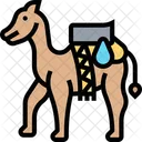 Dromedary  Icon