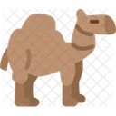 Dromedary Camel Arabian Icon