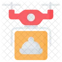 Drone Delivery Shipping Icon