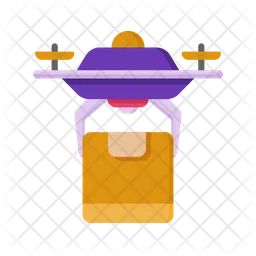 Drone Delivery  Icon