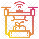 Drone Delivery  Icon