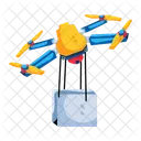 Drone Delivery  Icon