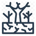 Drought Arid Survival Icon