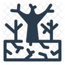 Drought Arid Survival Icon