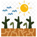 Drought  Icon