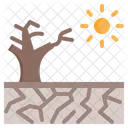 Drought  Icon