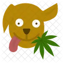 Marijuana Cannabis Weed Icon