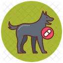 Drug detection dog  Icon