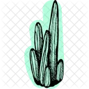 Cactuscolor Icon
