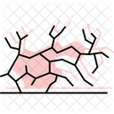Dry Cracked Soil Dry Cracked Icon