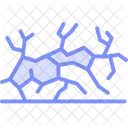 Dry Cracked Soil Dry Cracked Icon